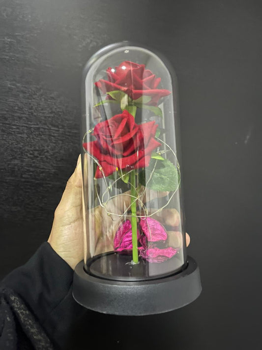 Rosa eterna con luz en cúpula de cristal